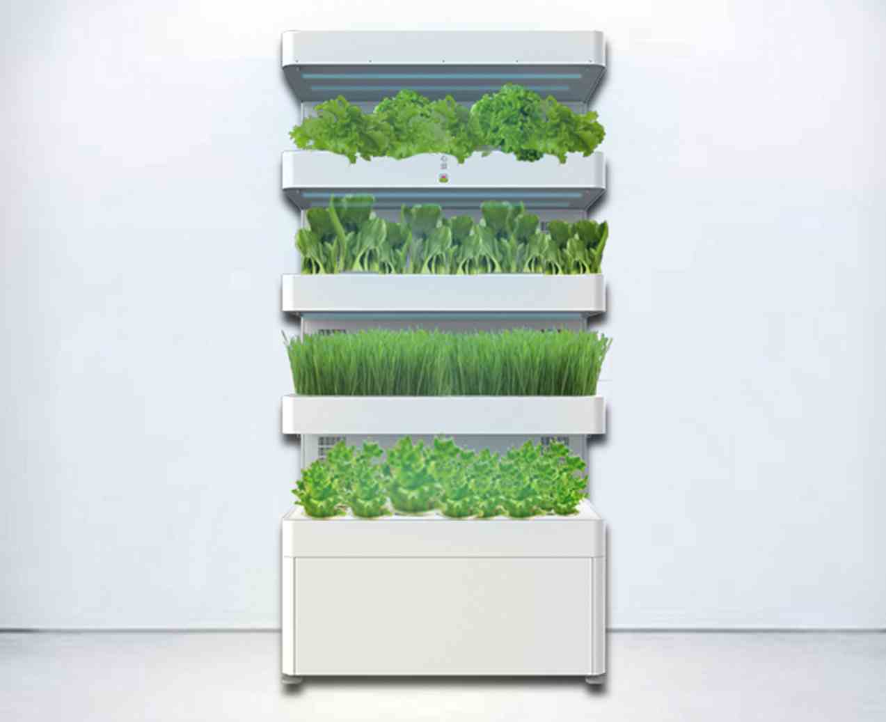 Home vegetable planter